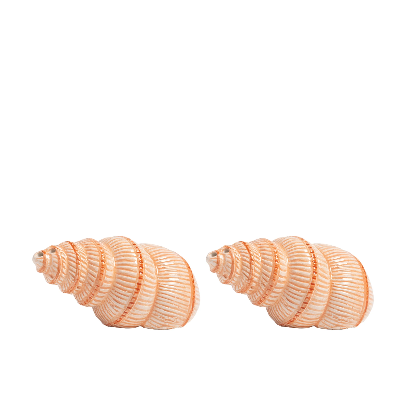 Набор из солонки и перечницы Shell, 4 см