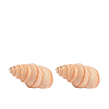 Набор из солонки и перечницы Shell, 4 см