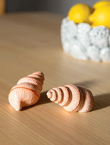 Набор из солонки и перечницы Shell, 4 см