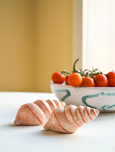 Набор из солонки и перечницы Shell, 4 см