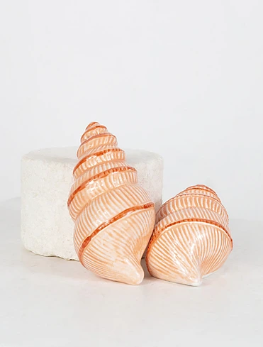 Набор из солонки и перечницы Shell, 4 см