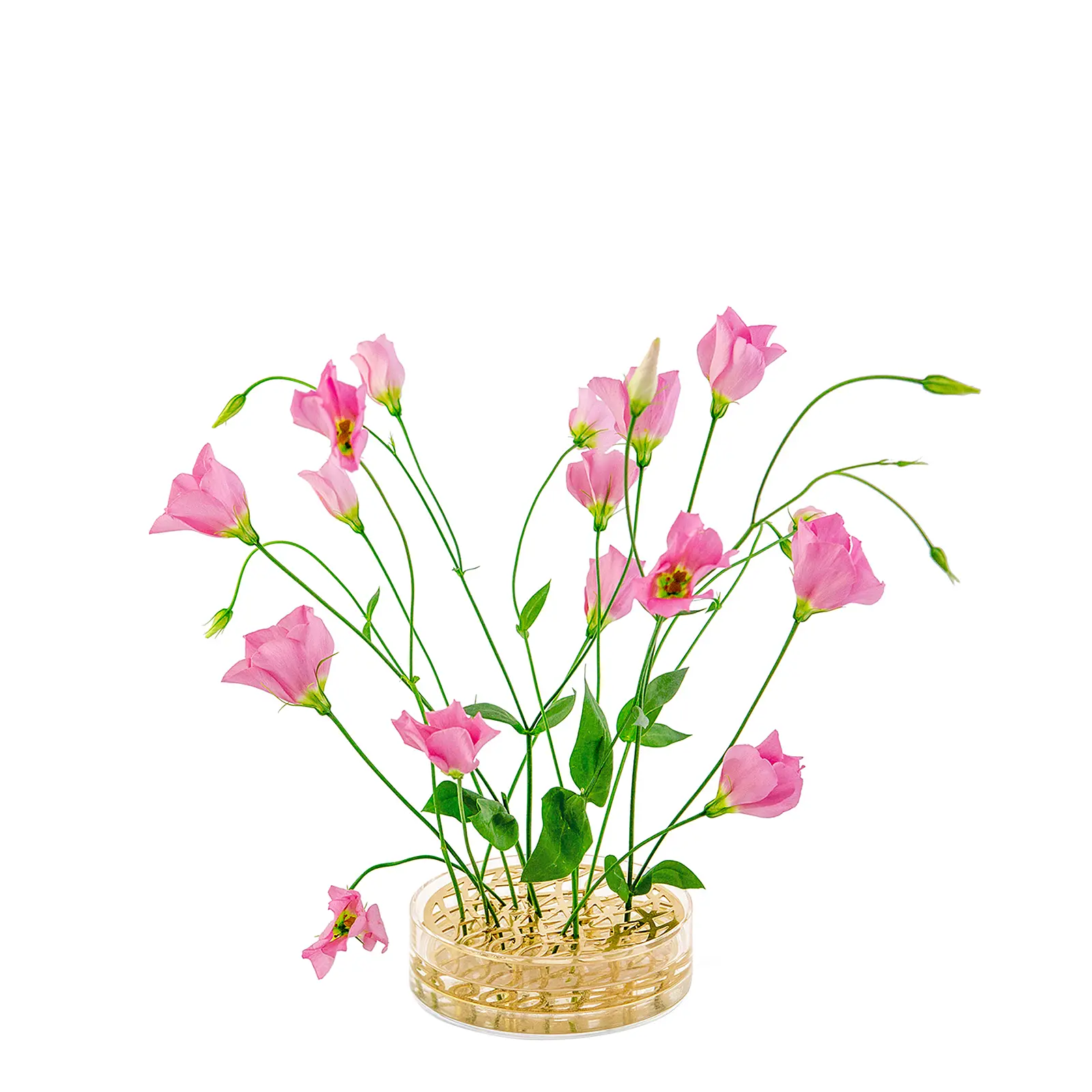 Ваза Ang, 4x12,5 см