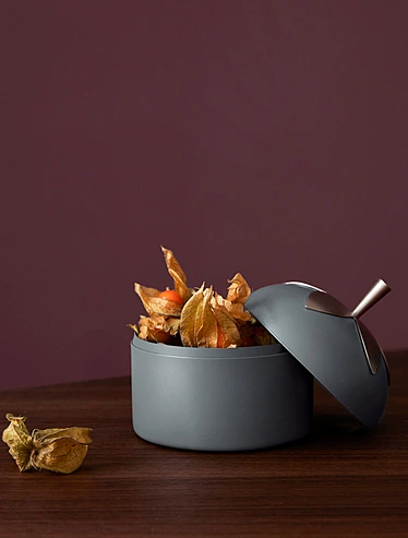 Ёмкость для хранения сыпучих продуктов Blad, 650 мл