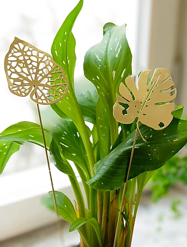 Набор из 2 декоративных листьев Brass, 35,5 см