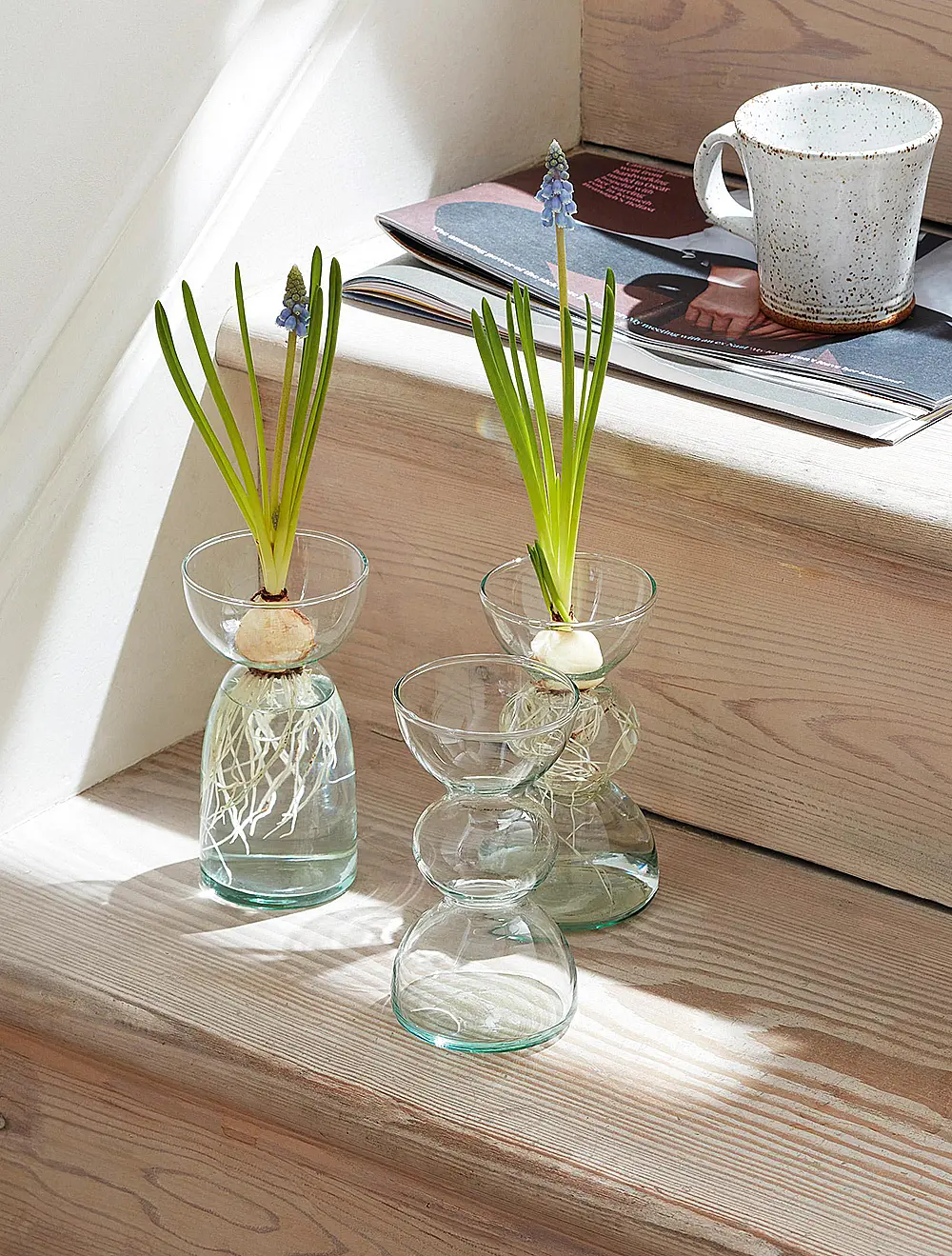 Набор из 3 ваз Canopy, 13 см