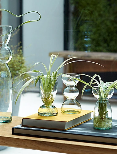 Набор из 3 ваз Canopy, 13 см