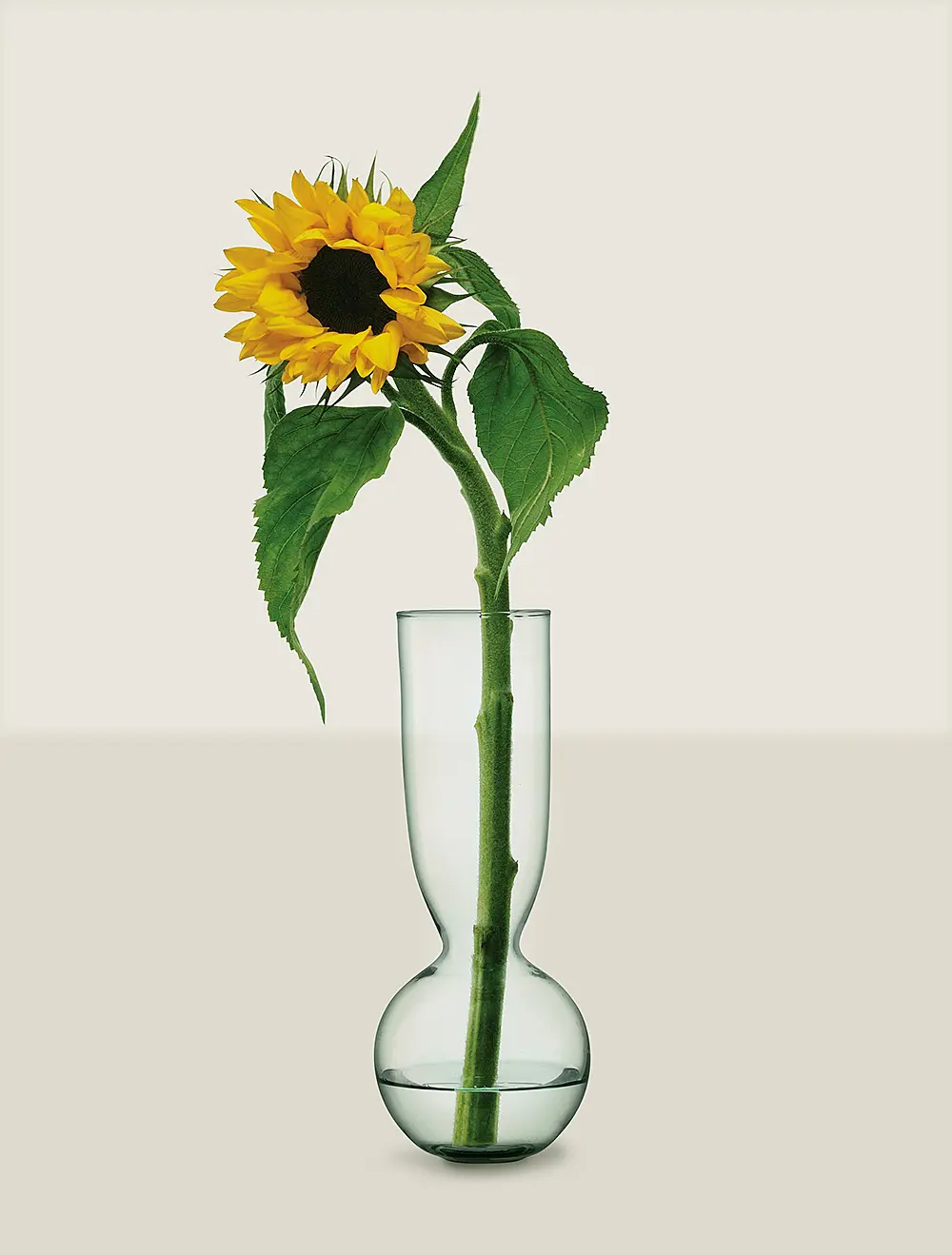 Набор из 3 ваз Canopy