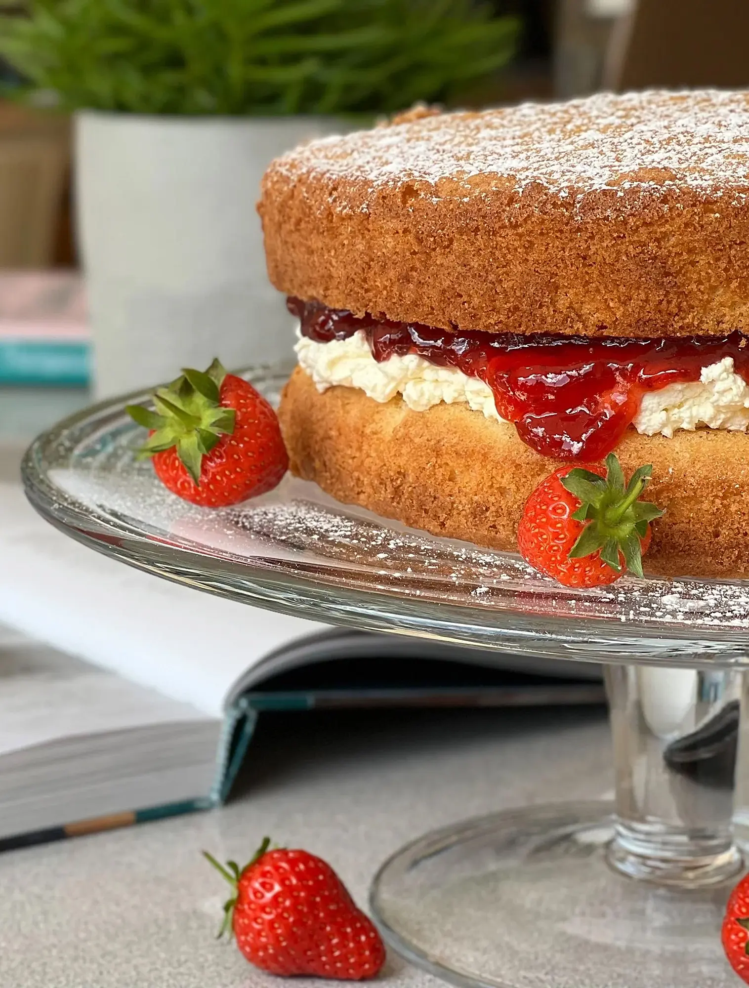 Тортовница на ножке Serve, 31 см