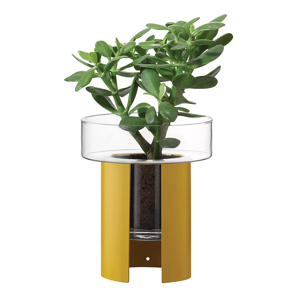 Кашпо Terrazza, 22 см от LSA International