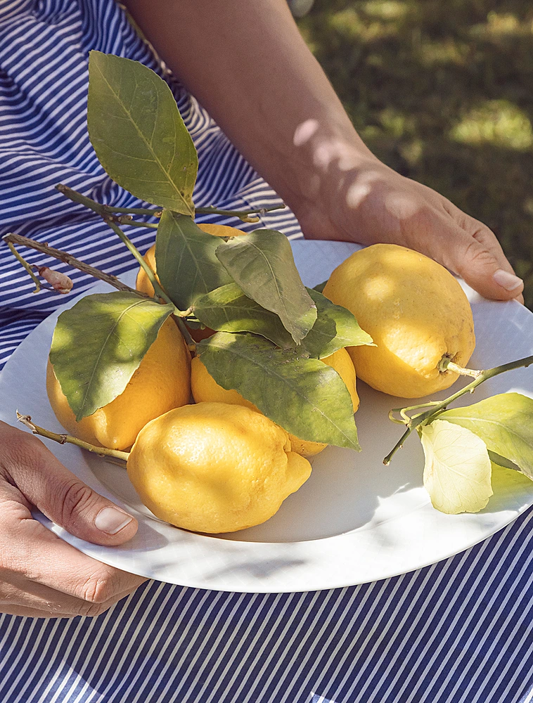 Обеденная тарелка Rhombe, 27 см от Lyngby Porcelaen