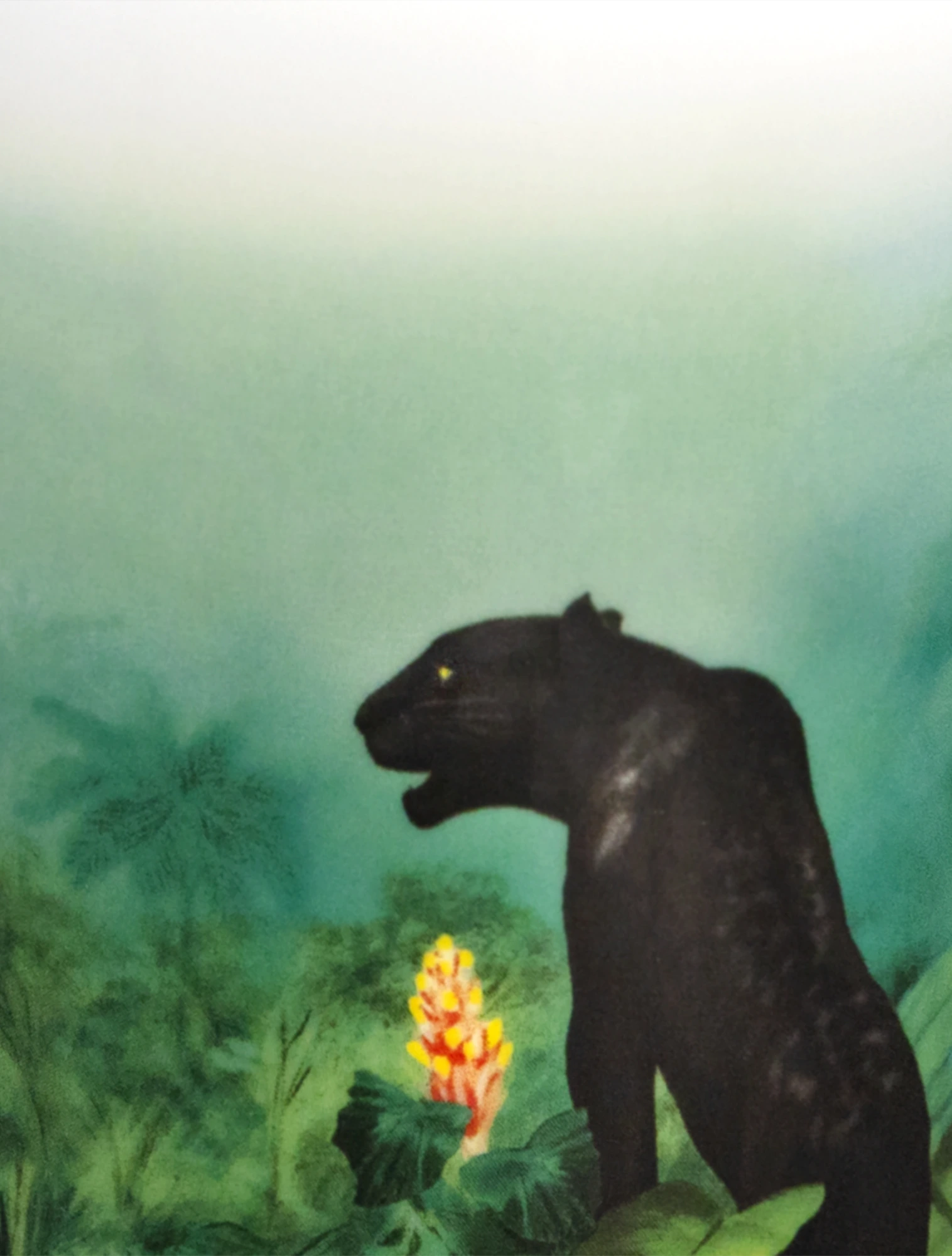 Кружка The Amazon Collection, 280 мл