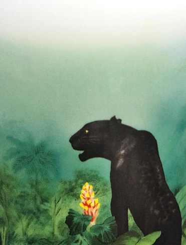 Кружка The Amazon Collection, 280 мл