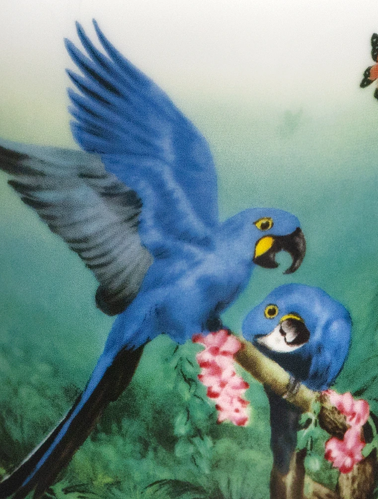 Кружка The Amazon Collection, 280 мл от Meissen