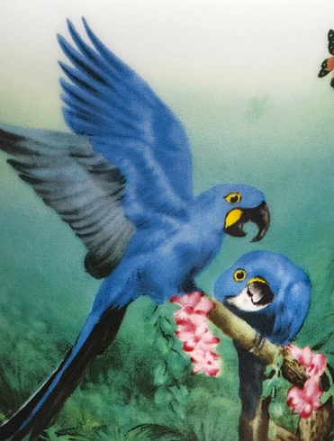 Кружка The Amazon Collection, 280 мл