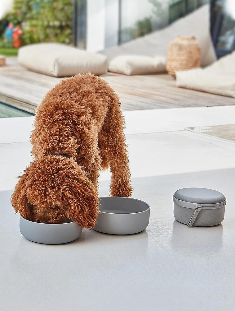 Дорожный набор из контейнера и двух мисок для собак Bento от MiaCara