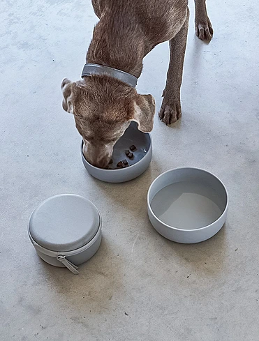 Дорожный набор из контейнера и двух мисок для собак Bento