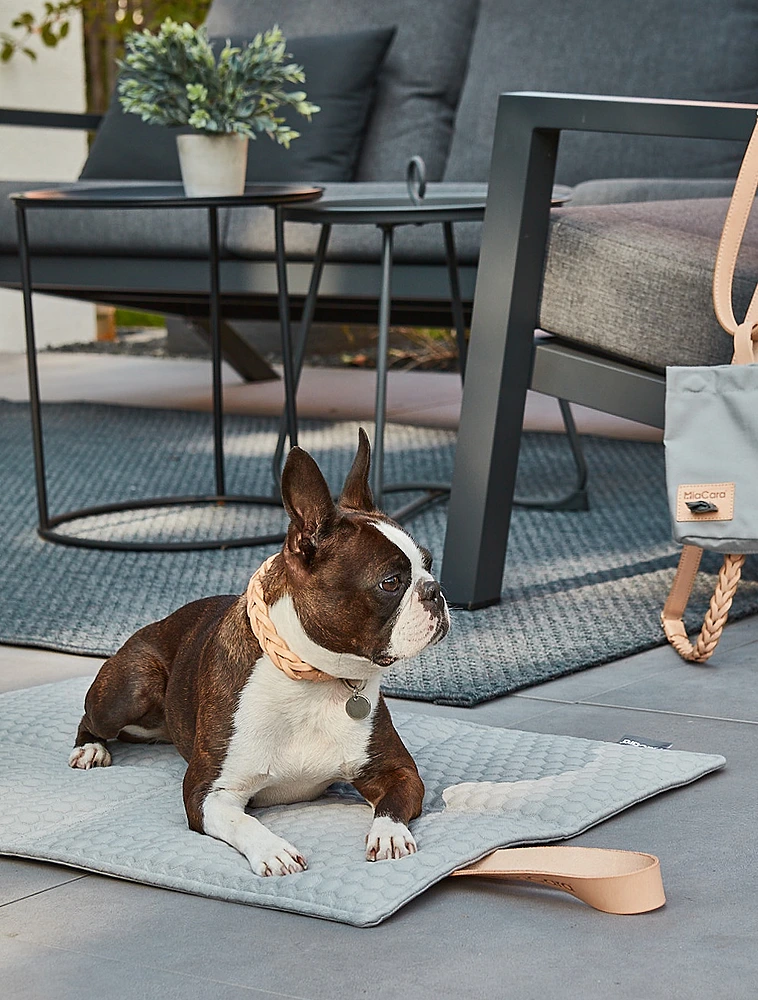 Ошейник для собак Bergamo, 35-41 см от MiaCara