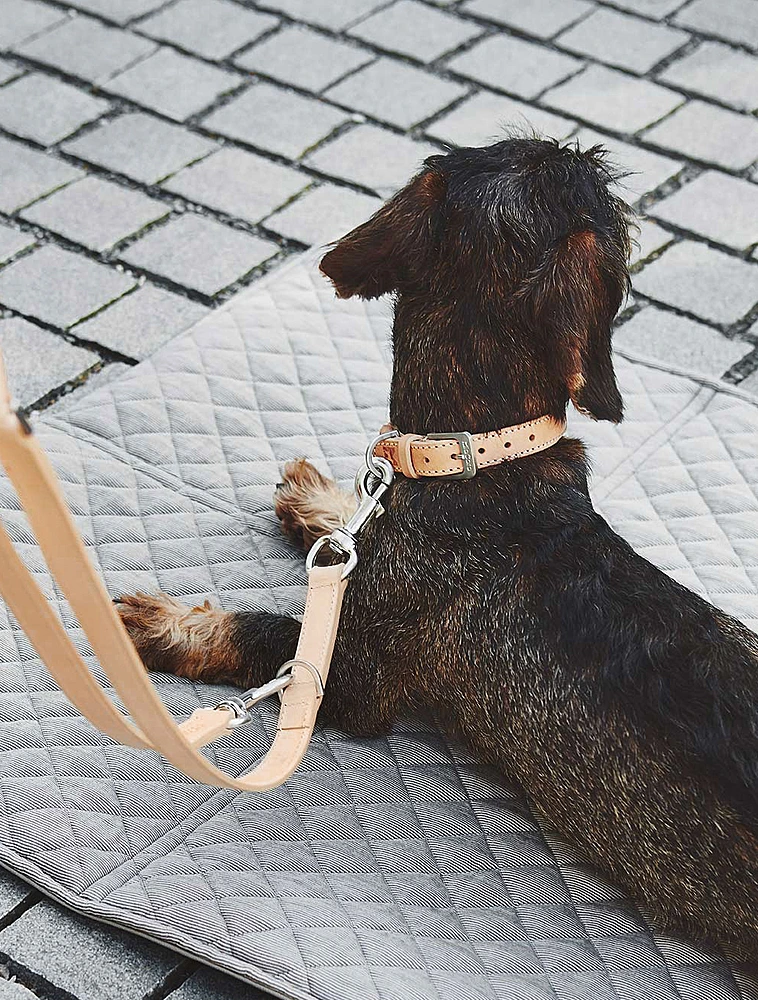 Ошейник для собак Bergamo, 35-41 см от MiaCara