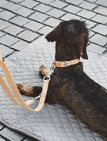 Ошейник для собак Bergamo, 35-41 см