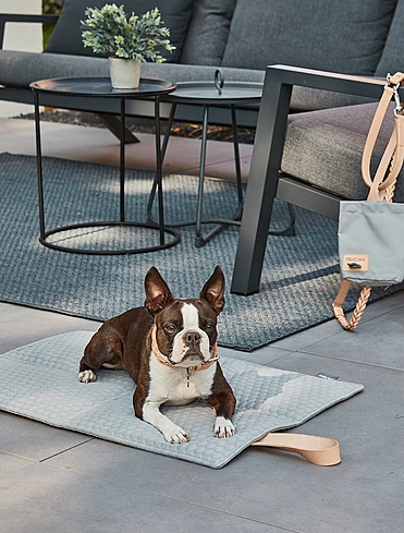 Ошейник для собак Bergamo, 35-41 см