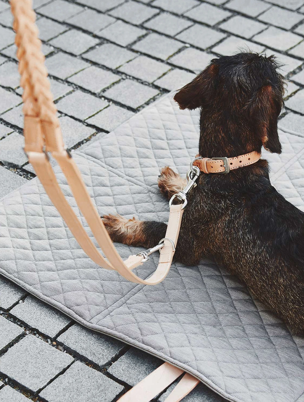 Поводок для собак Bergamo, 1,95 м