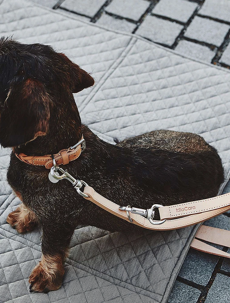 Поводок для собак Bergamo, 1,95 м от MiaCara