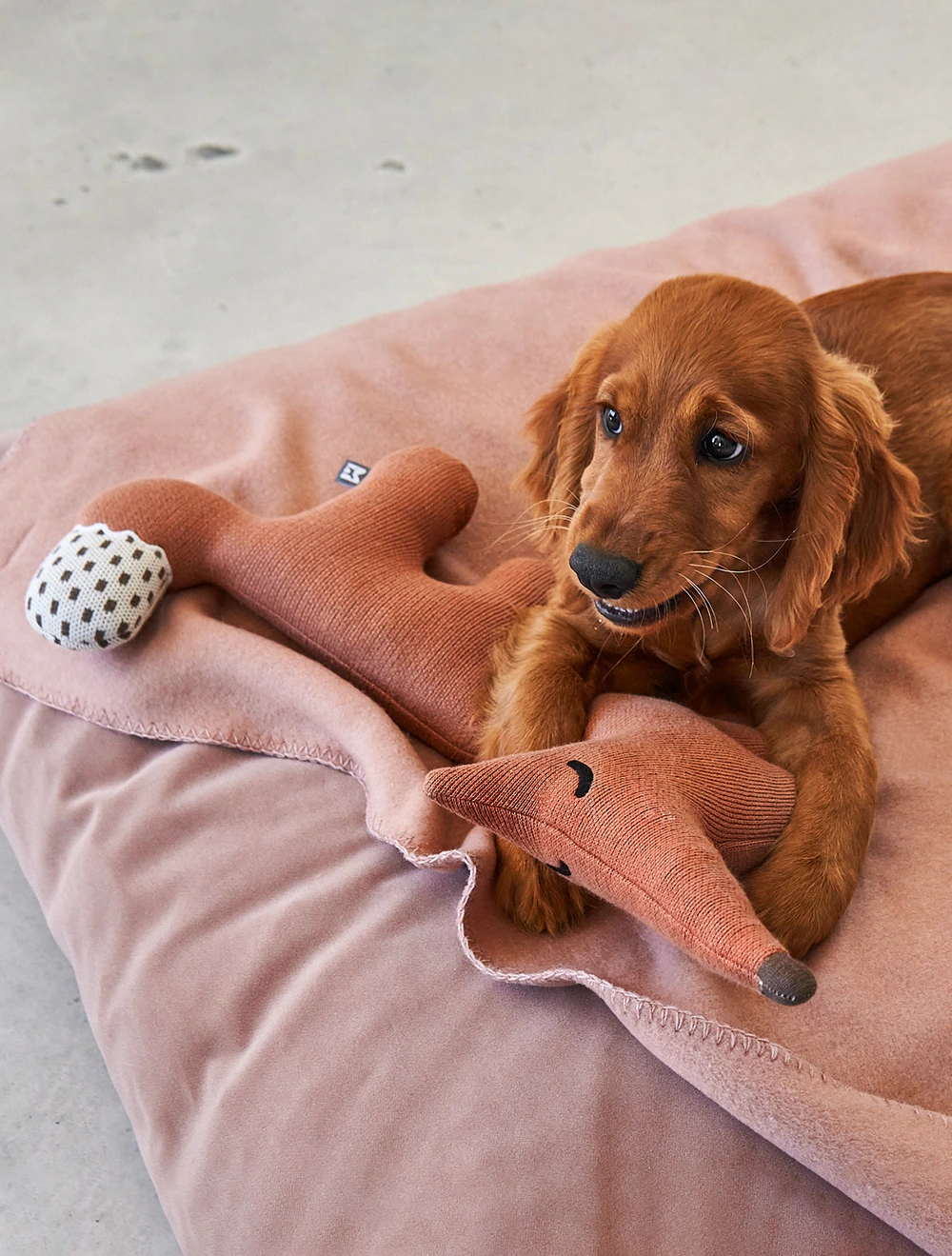 Мягкая игрушка для собак Bosco, 45,5 см