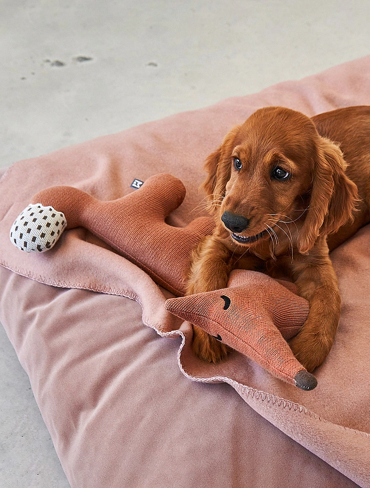 Мягкая игрушка для собак Bosco, 45,5 см от MiaCara