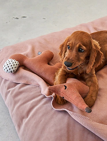 Мягкая игрушка для собак Bosco, 45,5 см