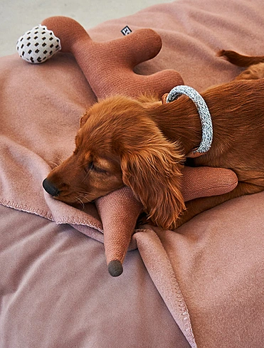 Мягкая игрушка для собак Bosco, 45,5 см