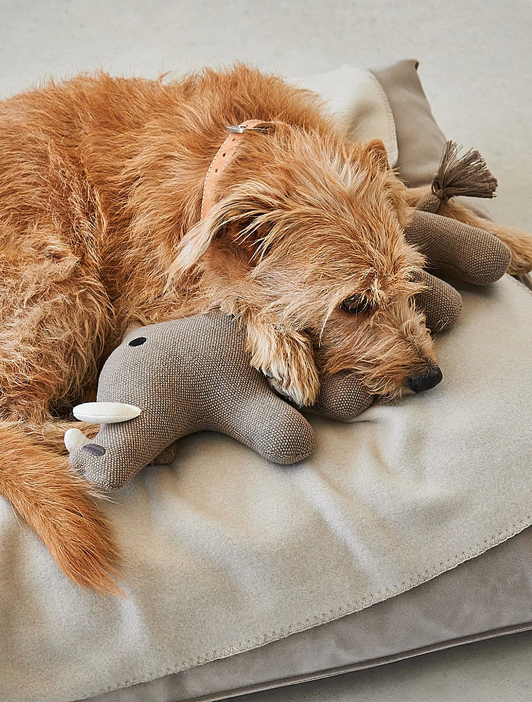 Мягкая игрушка для собак Bosco, 38,5 см от MiaCara