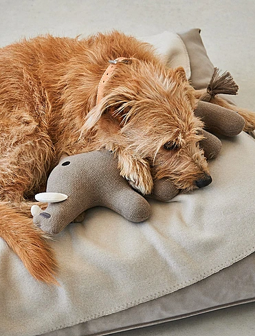 Мягкая игрушка для собак Bosco, 38,5 см