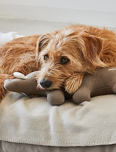 Мягкая игрушка для собак Bosco, 38,5 см