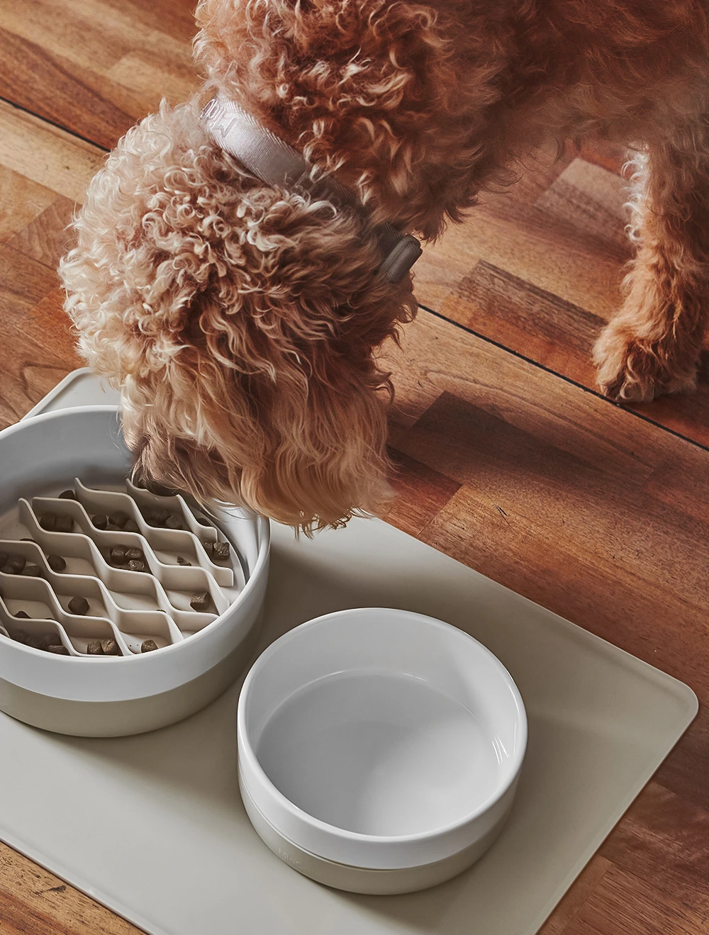 Миска для собак Coppa, 900 мл