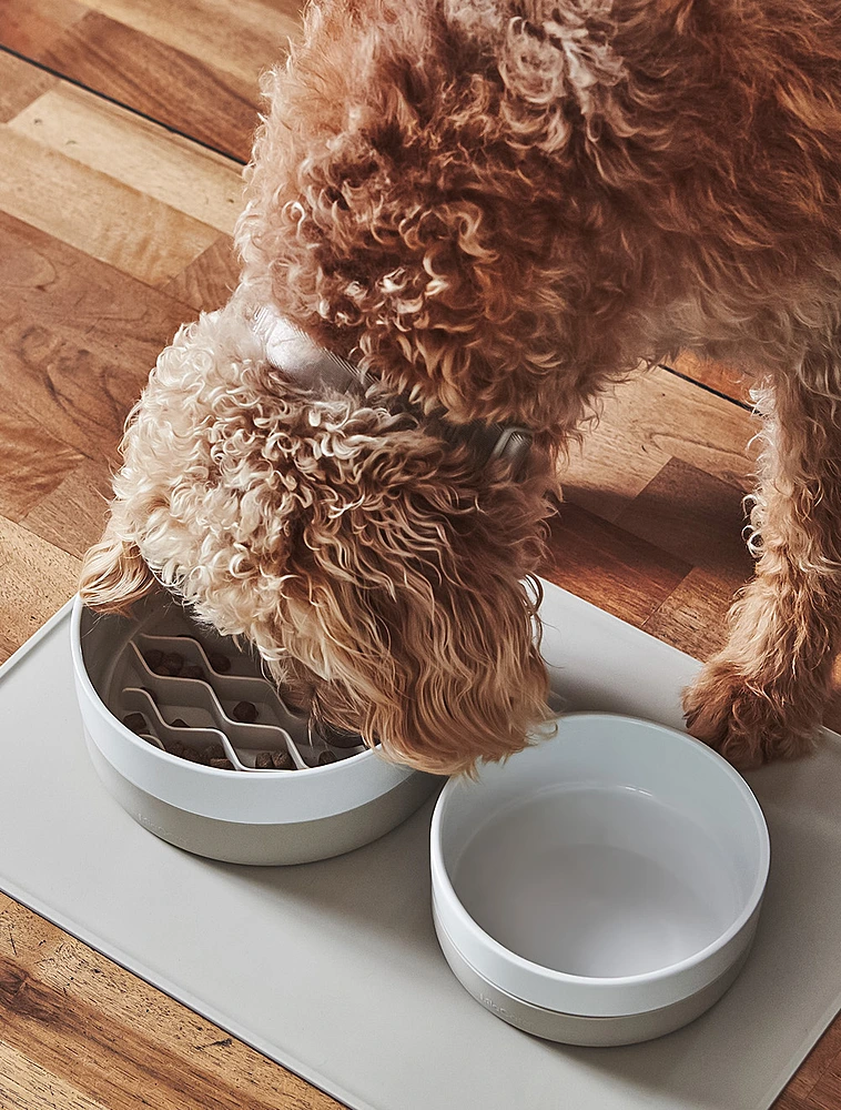 Миска для собак Coppa, 2,1 л от MiaCara