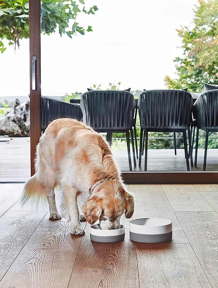 Миска для собак Coppa, 900 мл от MiaCara