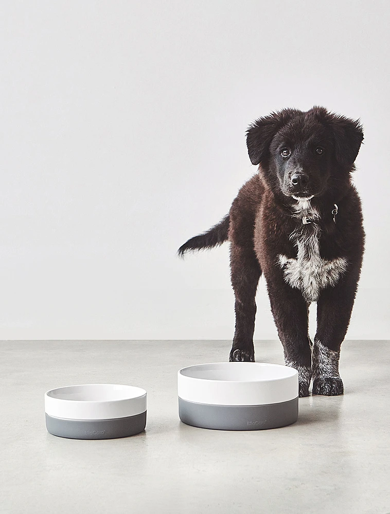 Миска для собак Coppa, 900 мл от MiaCara