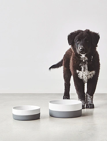 Миска для собак Coppa, 900 мл