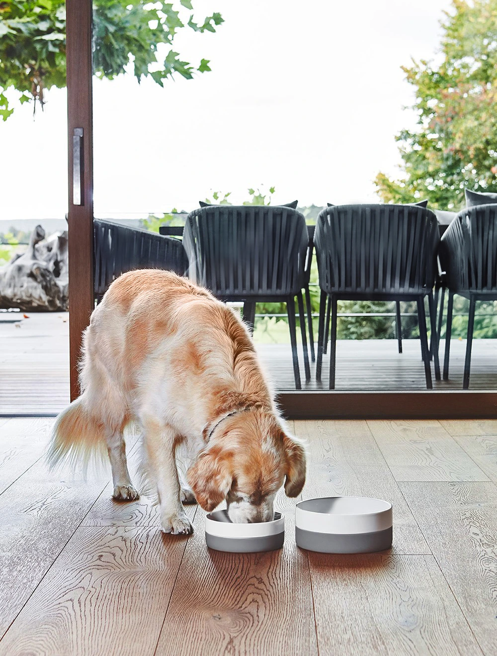 Миска для собак Coppa, 2,1 л