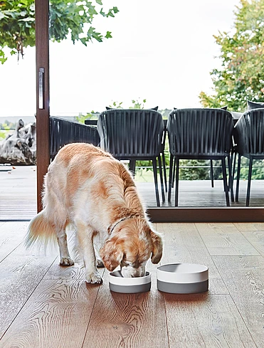 Миска для собак Coppa, 2,1 л