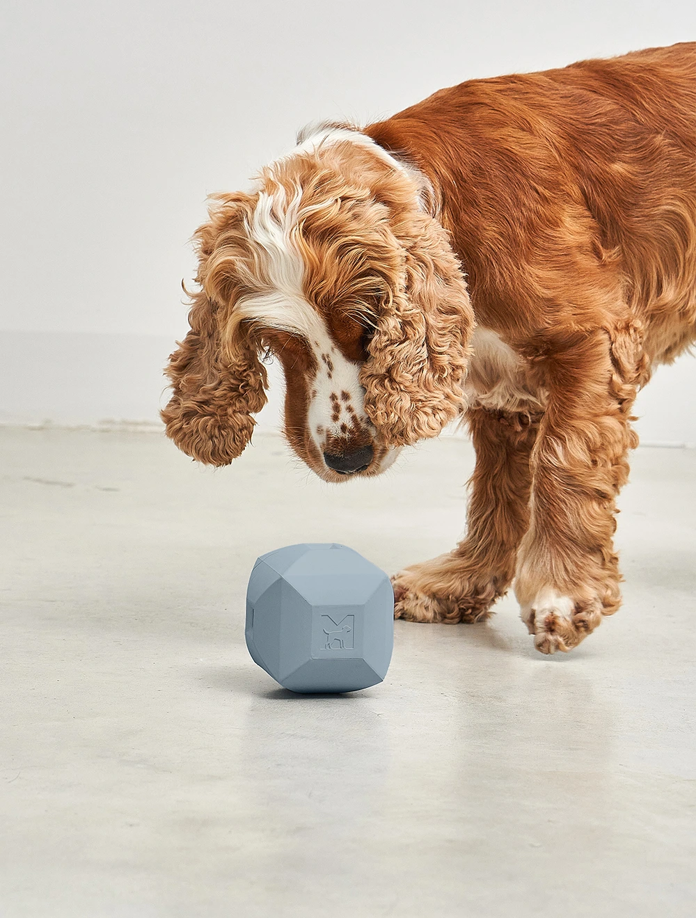 Развивающая игрушка для собак Dado, 9,5x9,5 см