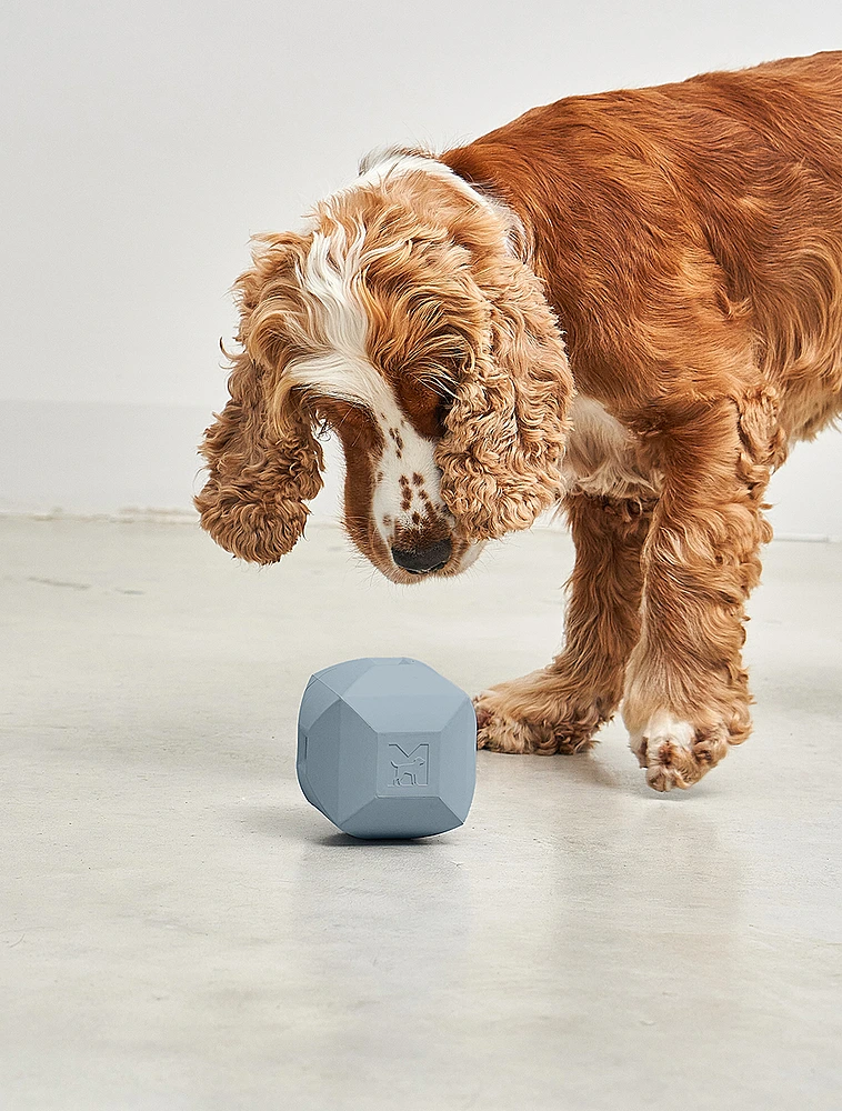 Развивающая игрушка для собак Dado, 9,5x9,5 см от MiaCara