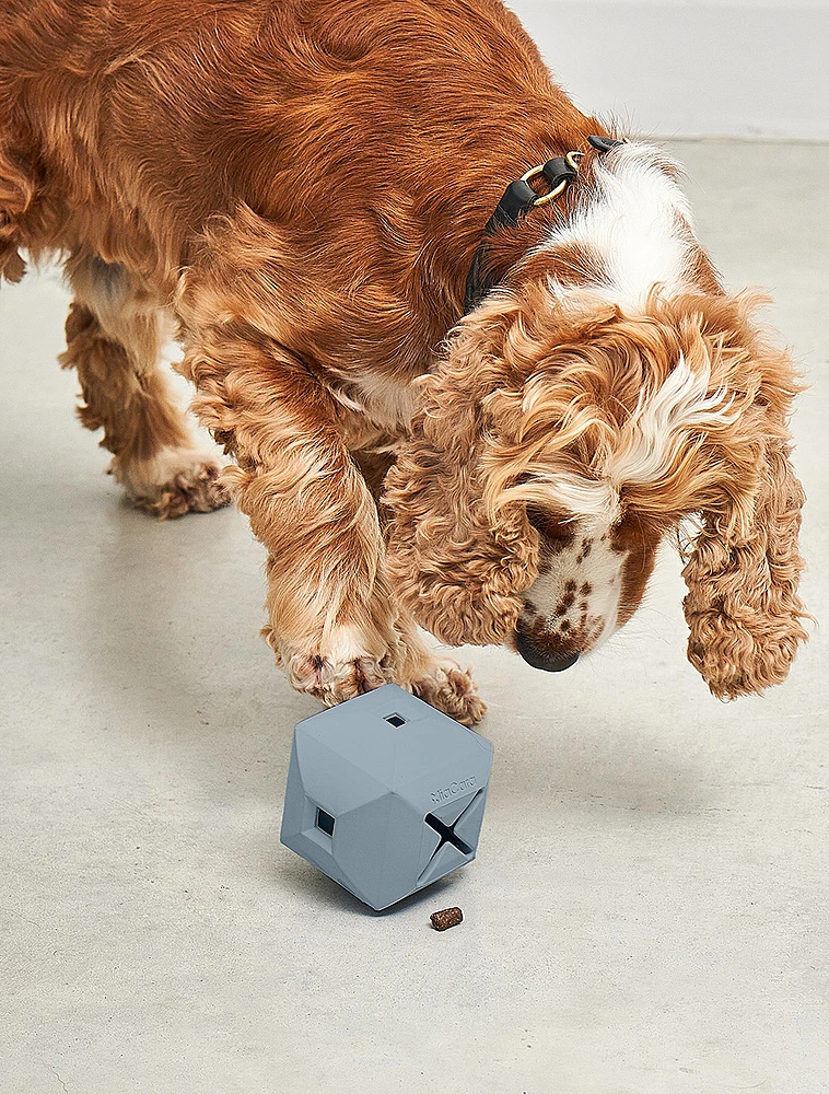 Развивающая игрушка для собак Dado, 9,5x9,5 см от MiaCara