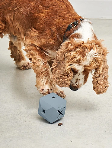 Развивающая игрушка для собак Dado, 9,5x9,5 см