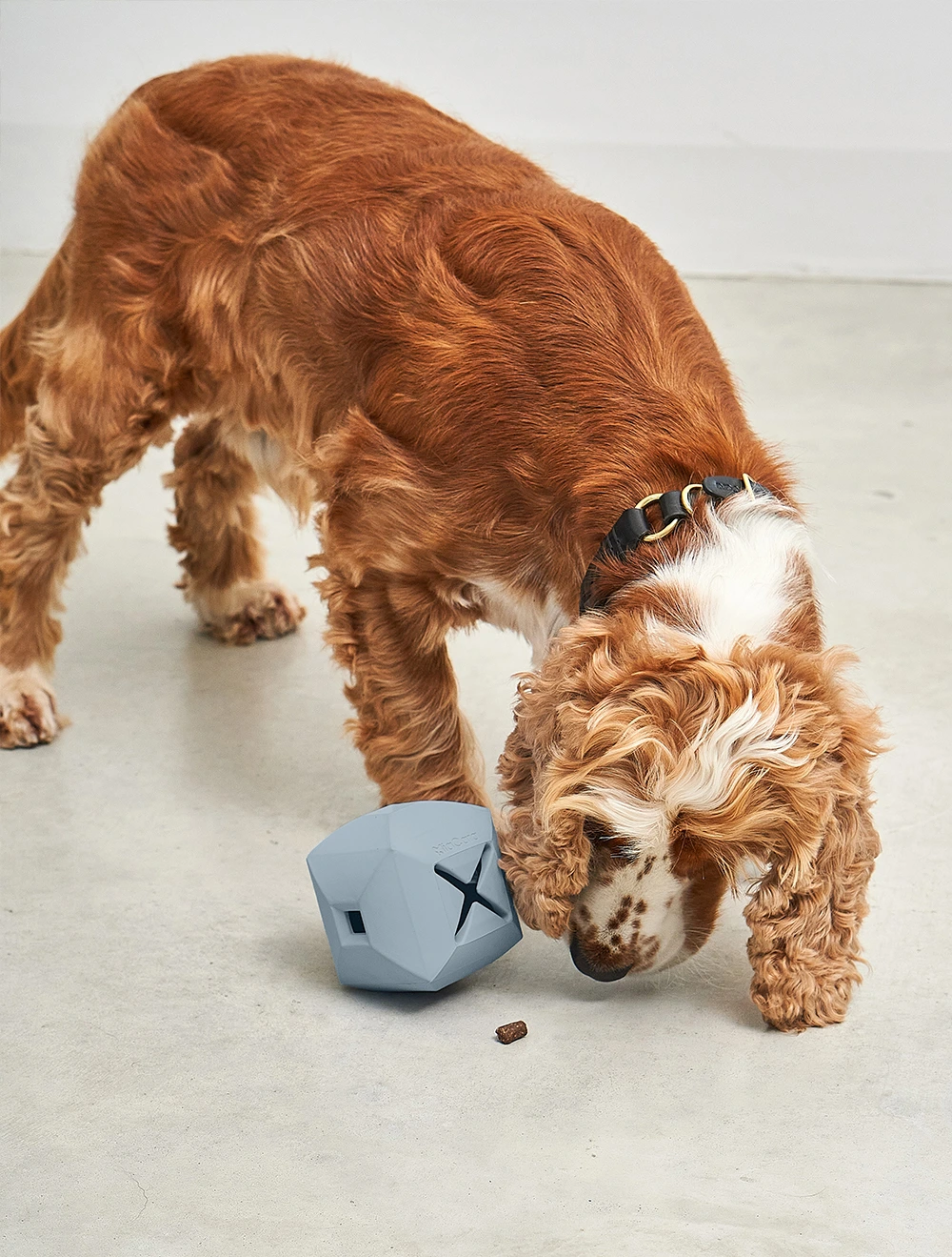 Развивающая игрушка для собак Dado, 9,5x9,5 см