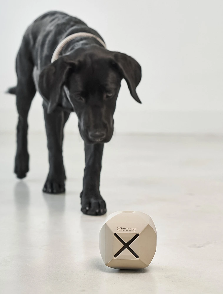 Развивающая игрушка для собак Dado, 9,5x9,5 см от MiaCara