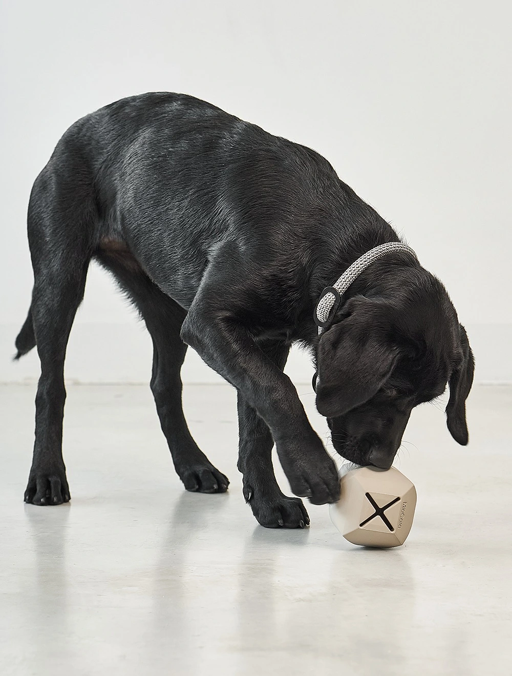 Развивающая игрушка для собак Dado, 9,5x9,5 см