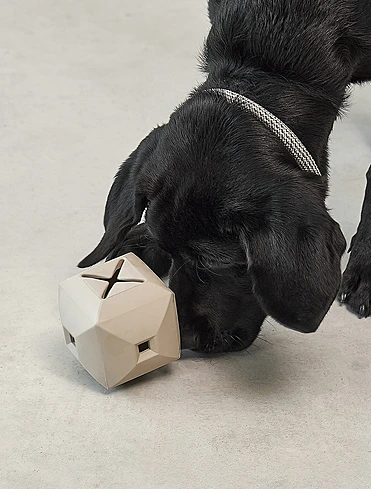 Развивающая игрушка для собак Dado, 9,5x9,5 см