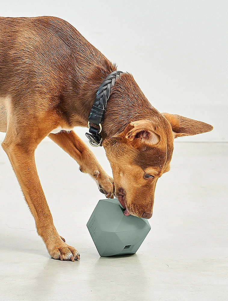 Развивающая игрушка для собак Dado, 9,5x9,5 см от MiaCara