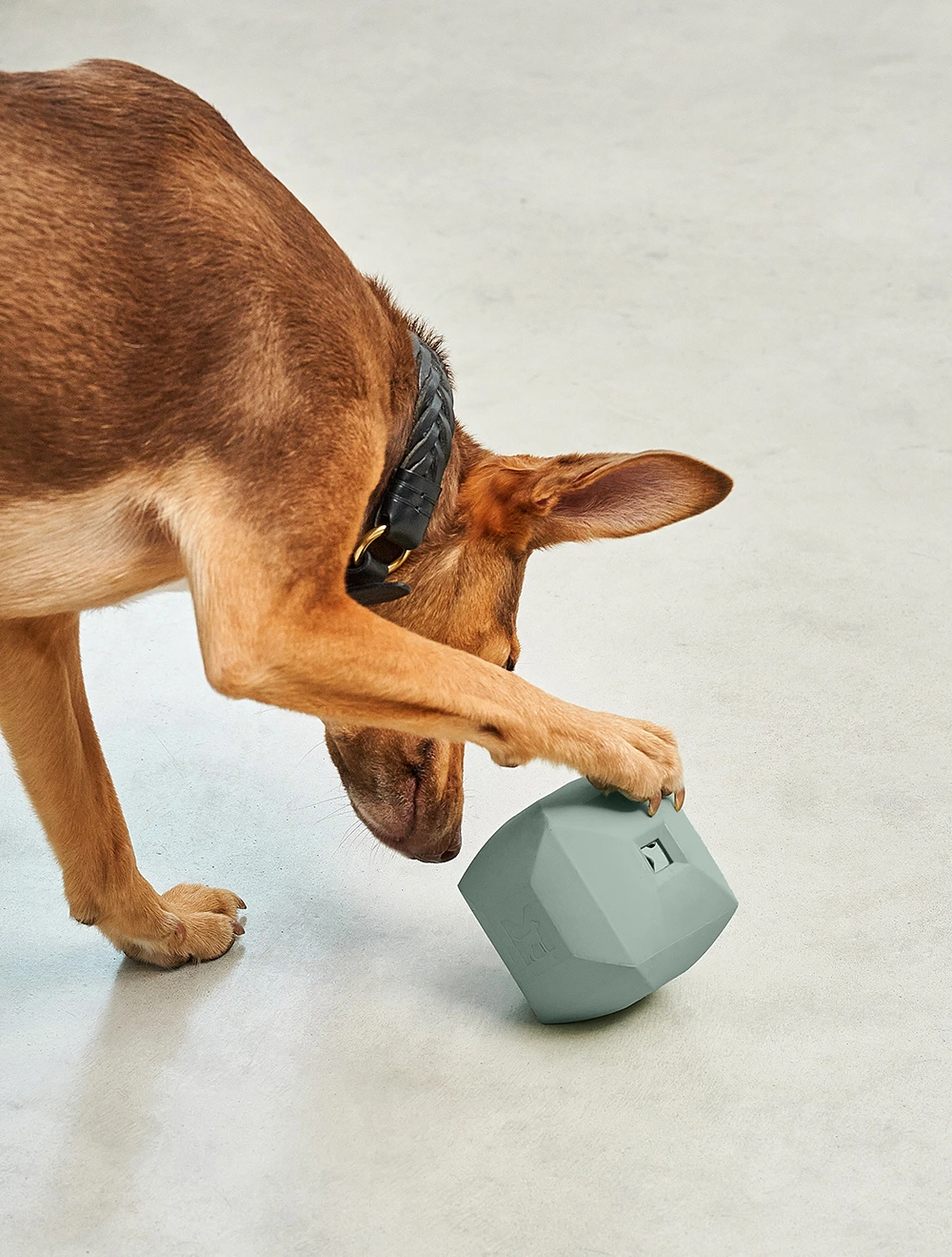 Развивающая игрушка для собак Dado, 9,5x9,5 см